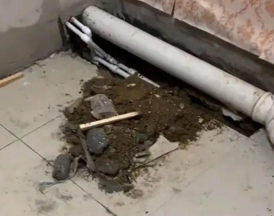 卫生间漏水检测哪家好